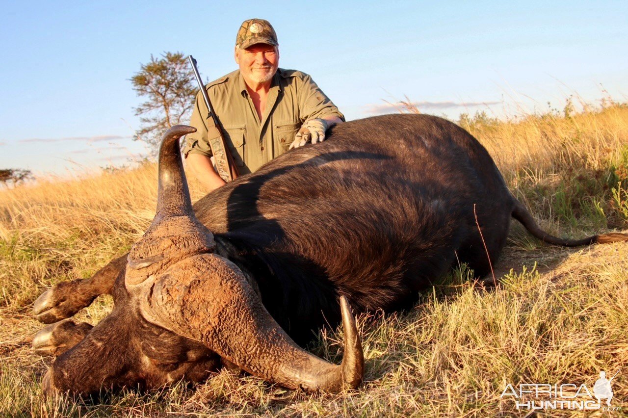 Buffalo Hunting South Africa