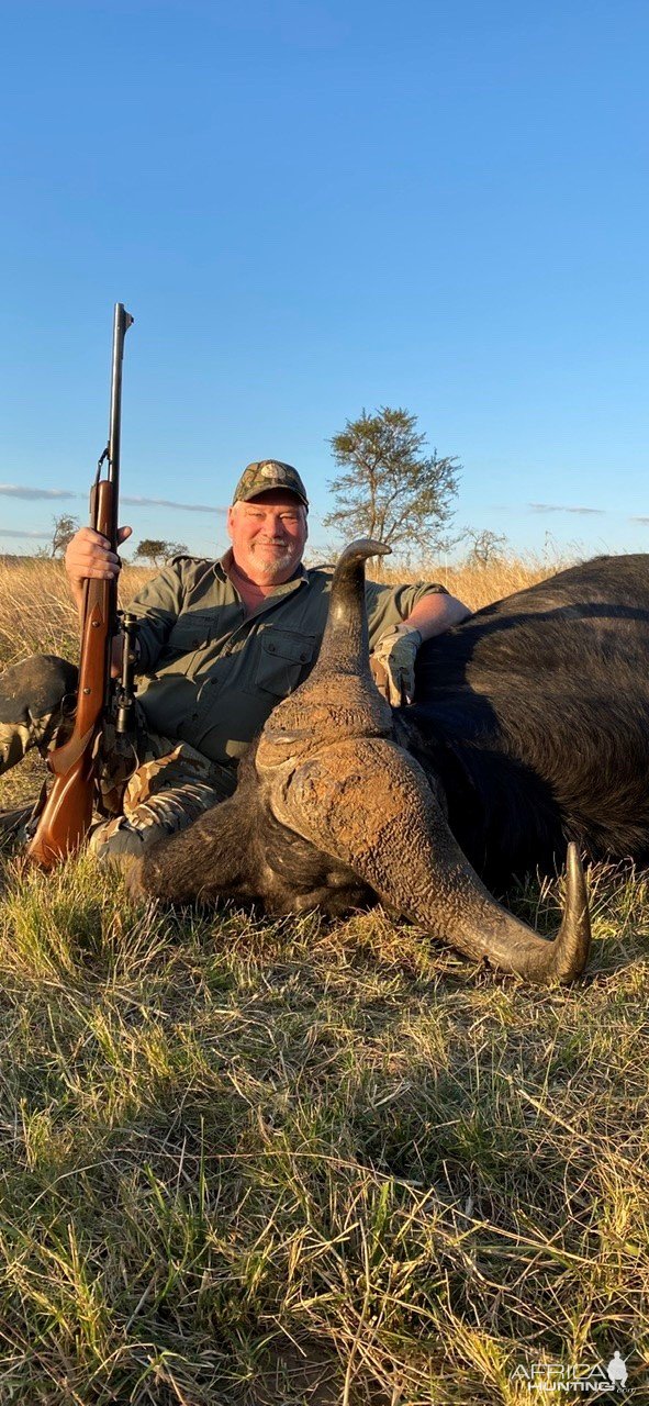 Buffalo Hunting South Africa