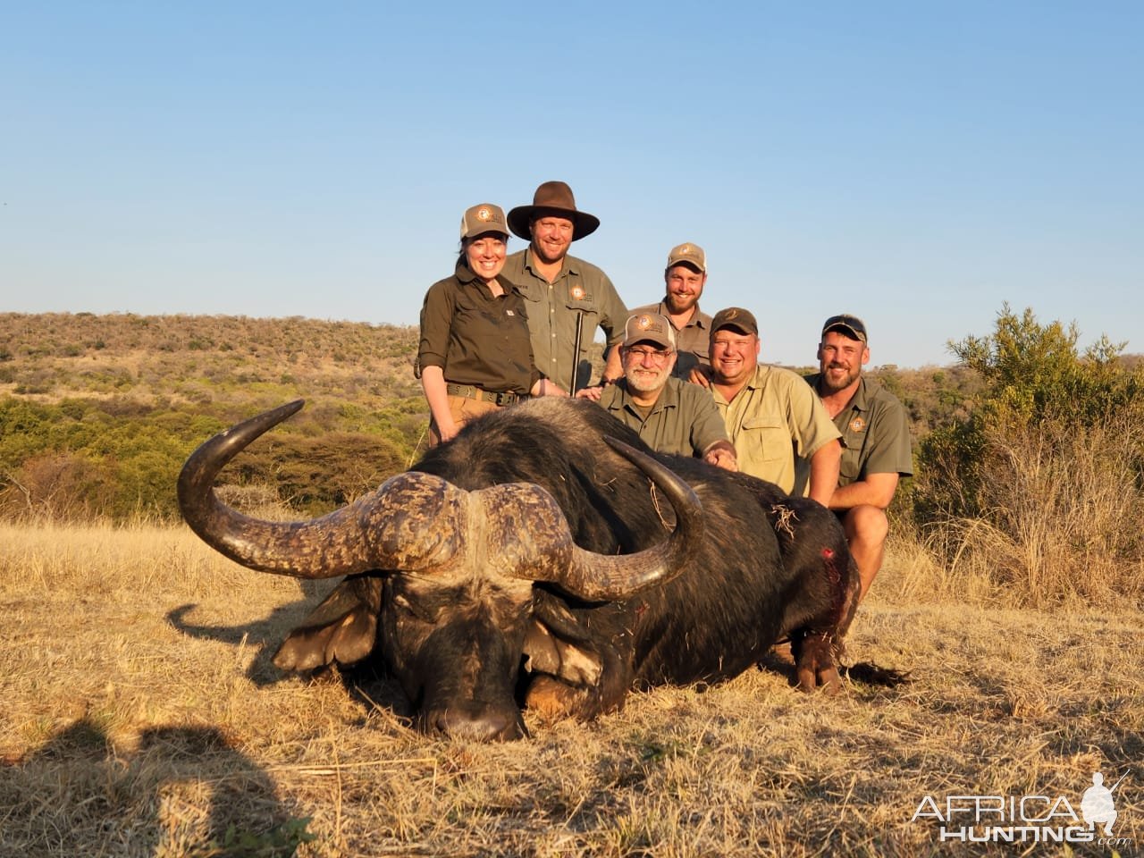 Buffalo Hunting South Africa