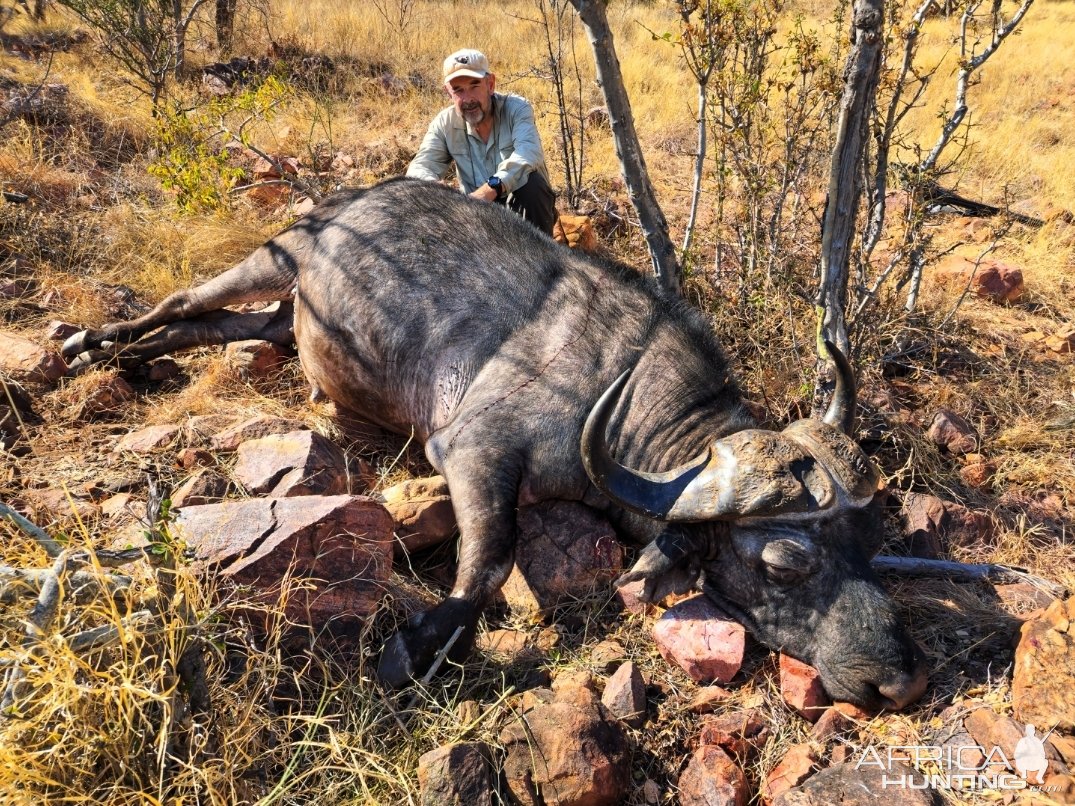 Buffalo Hunting South Africa