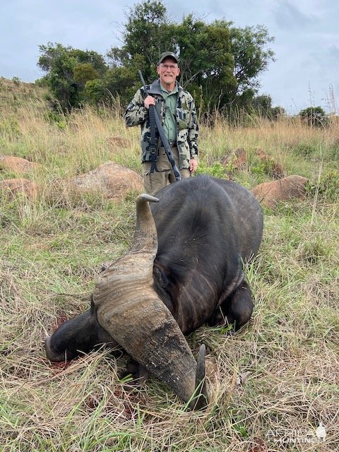 Buffalo Hunting South Africa