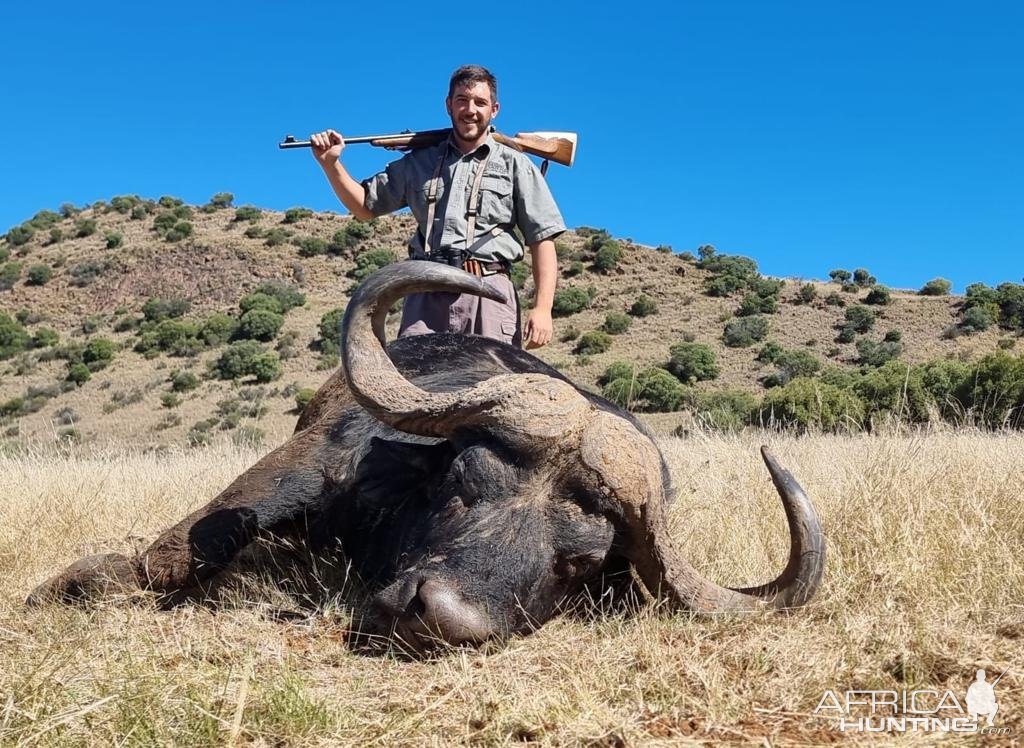 Buffalo Hunting South Africa