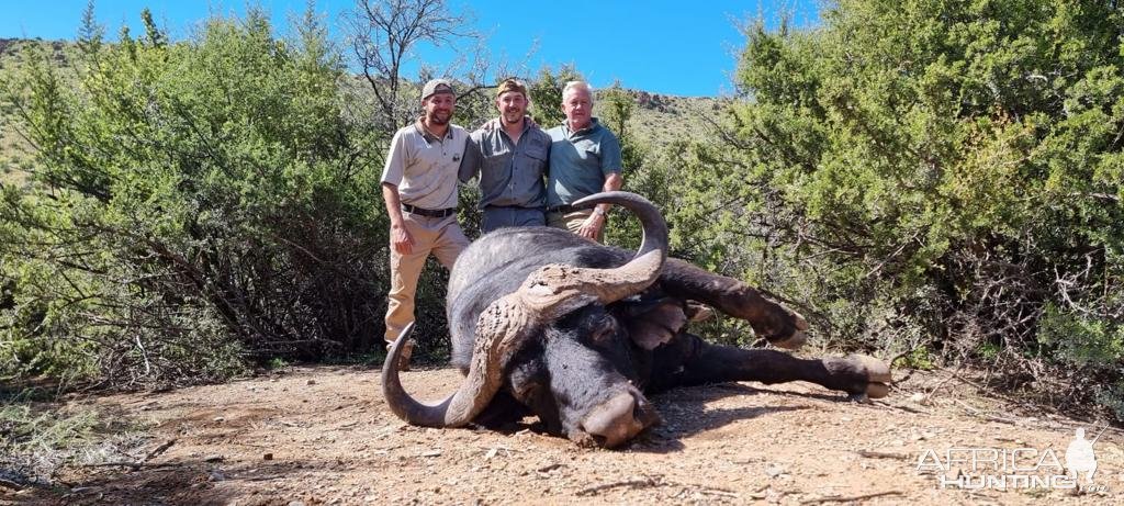 Buffalo Hunting South Africa