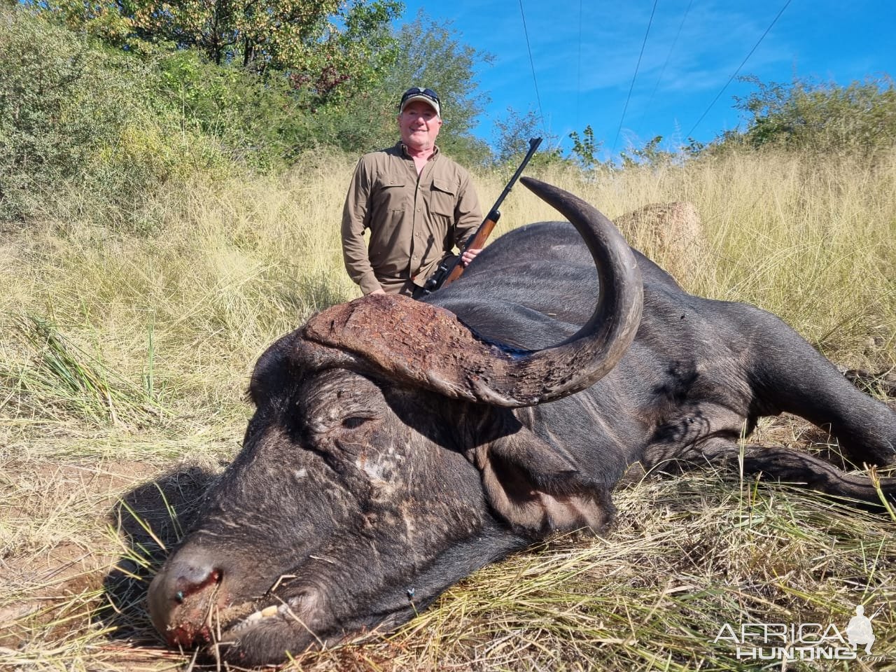 Buffalo Hunting South Africa