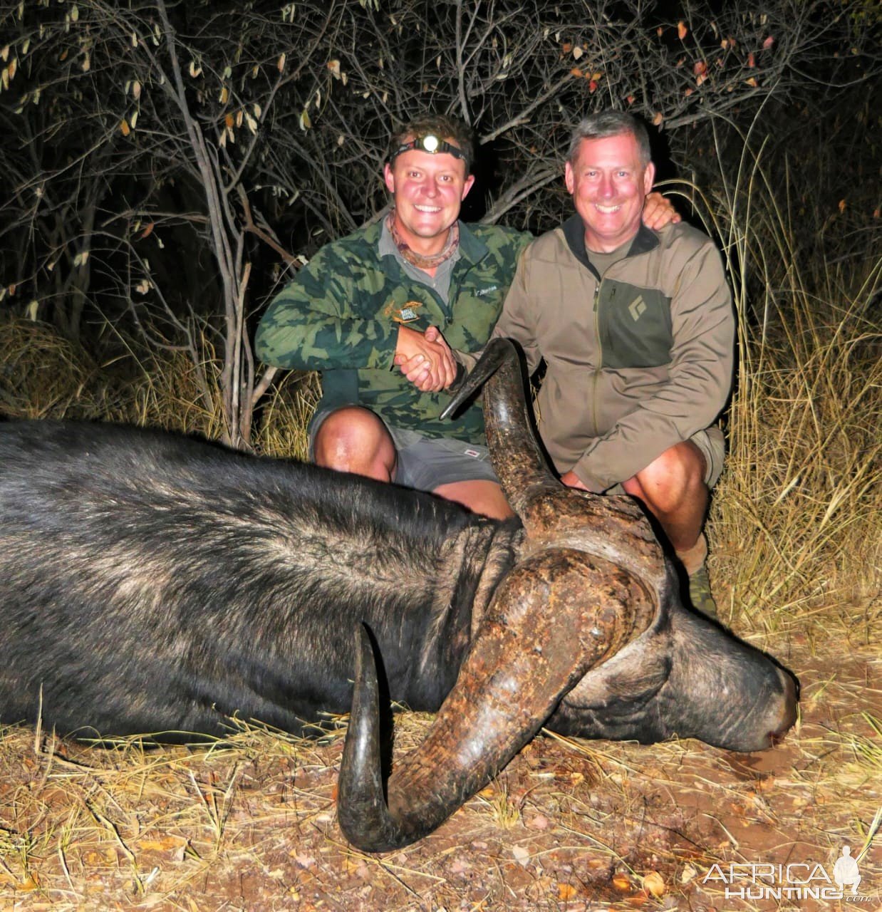 Buffalo Hunting South Africa