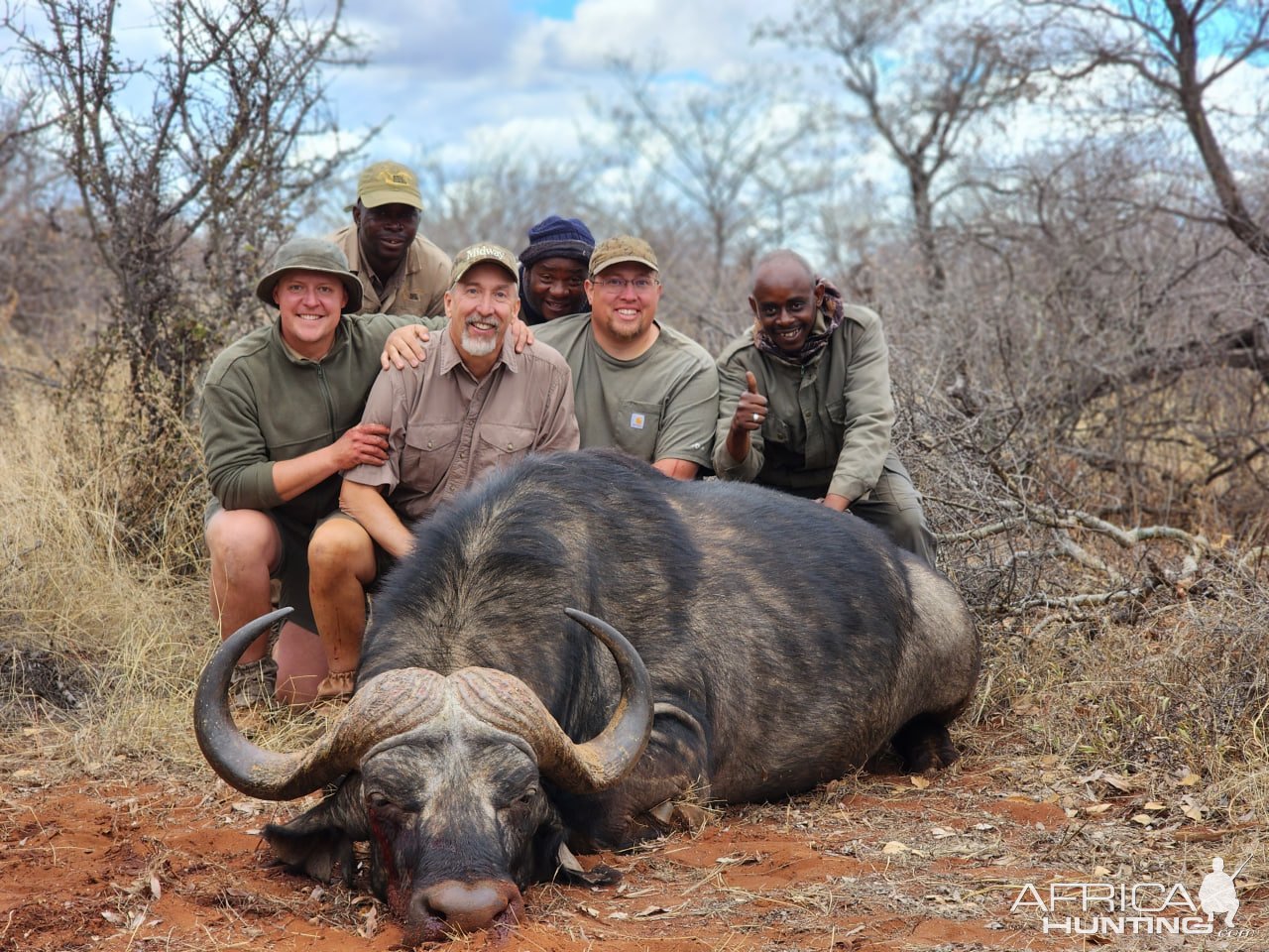 Buffalo Hunting South Africa