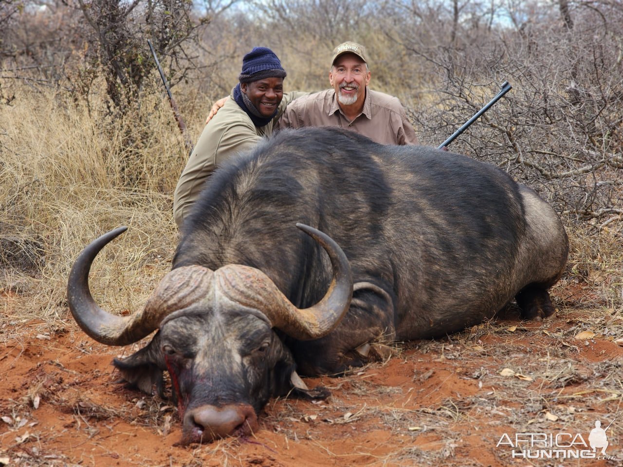 Buffalo Hunting South Africa