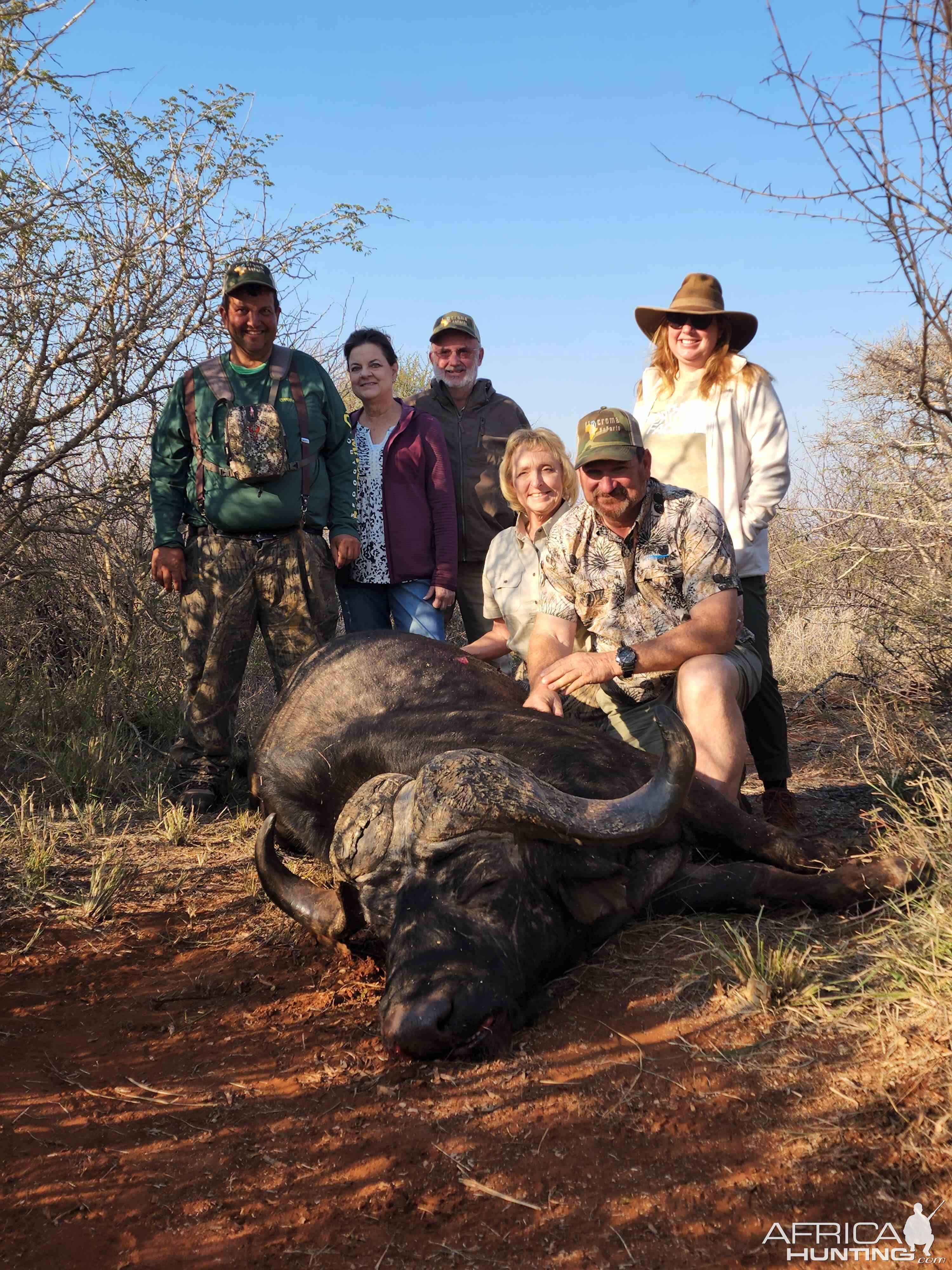 Buffalo Hunting South Africa