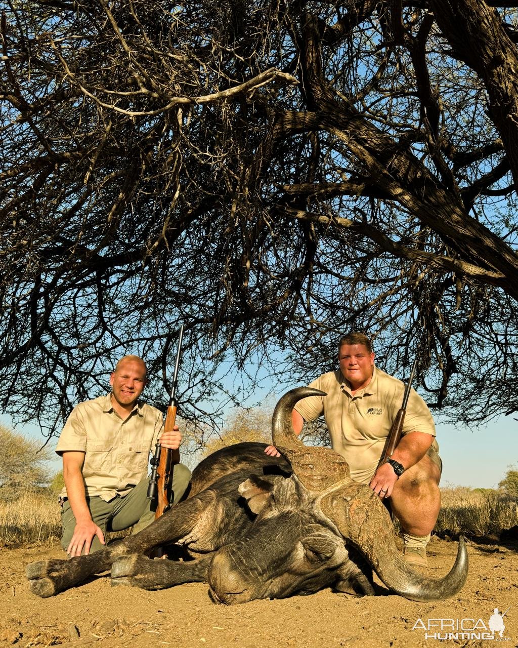 Buffalo Hunting South Africa