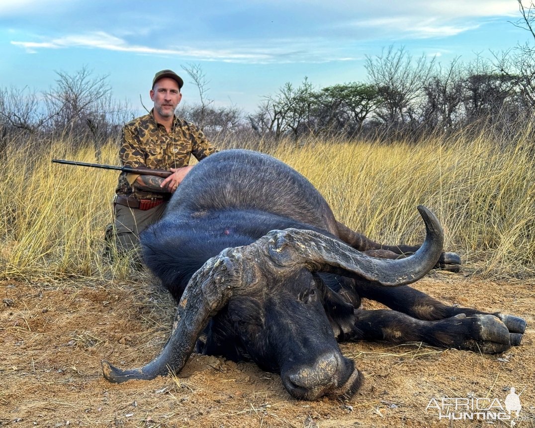 Buffalo Hunting South Africa