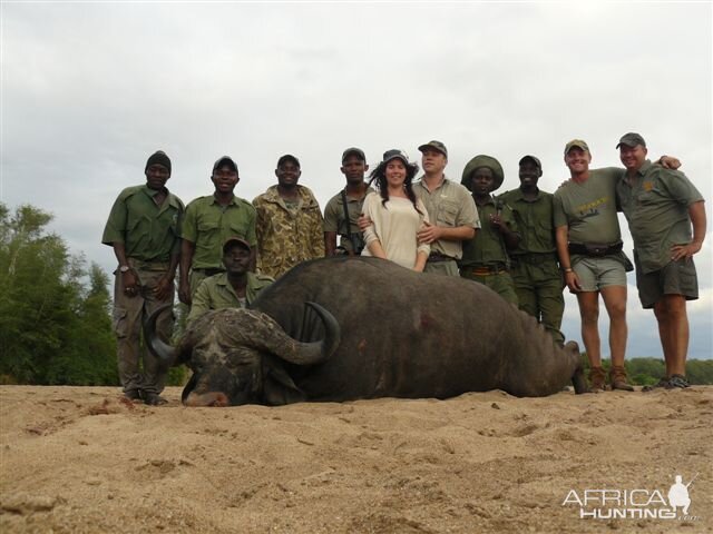 Buffalo Hunting South Africa