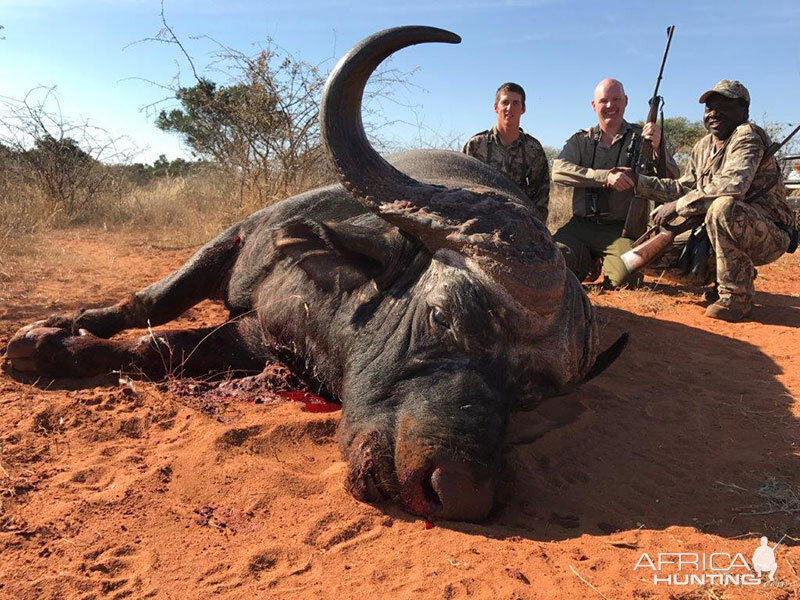 Buffalo Hunting South Africa