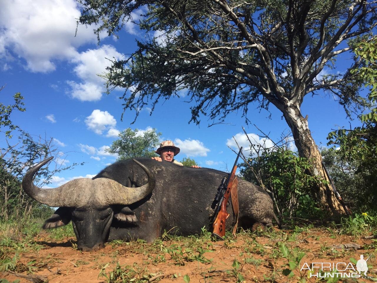 Buffalo Hunting South Africa