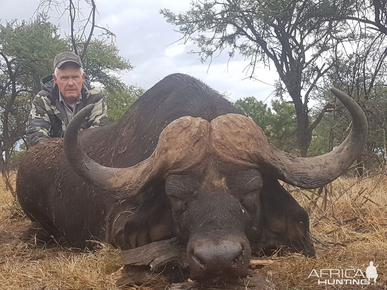 Buffalo Hunting South Africa