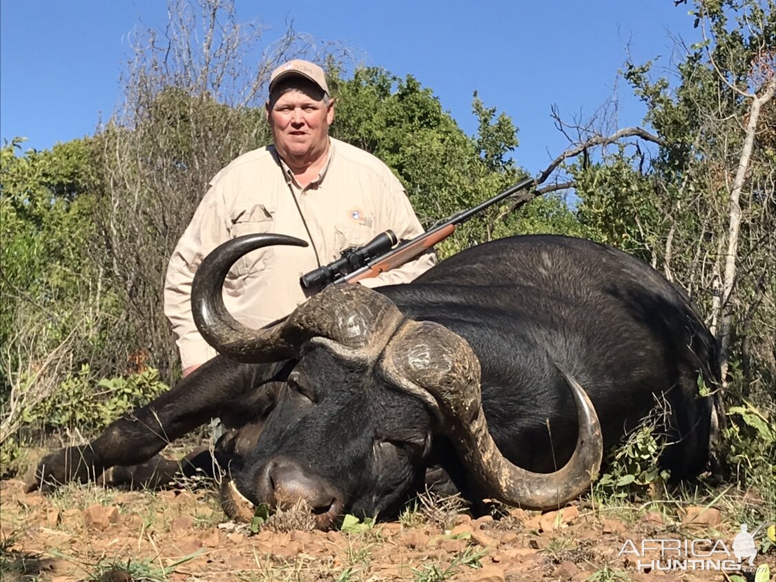 Buffalo Hunting South Africa