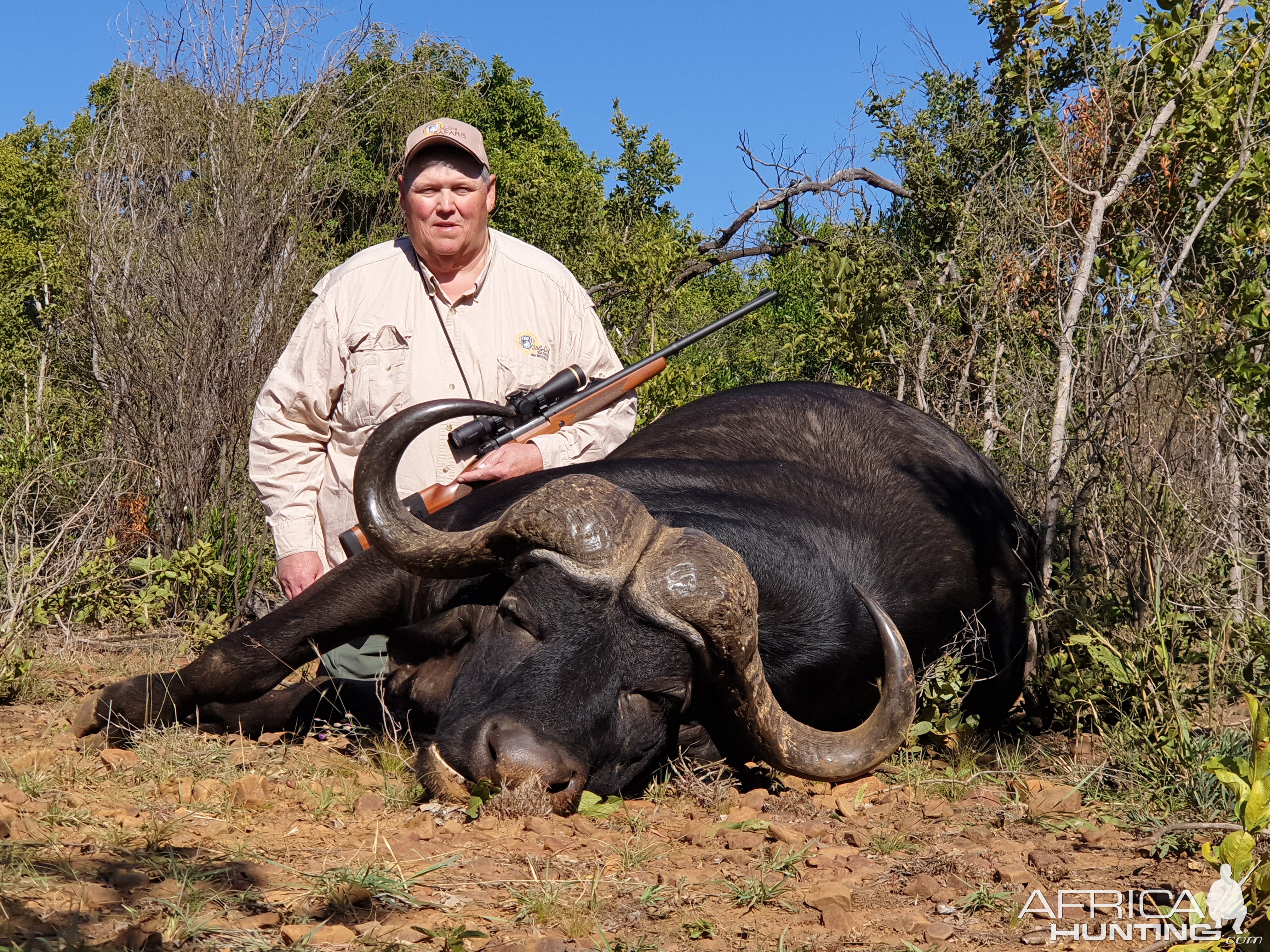 Buffalo Hunting South Africa