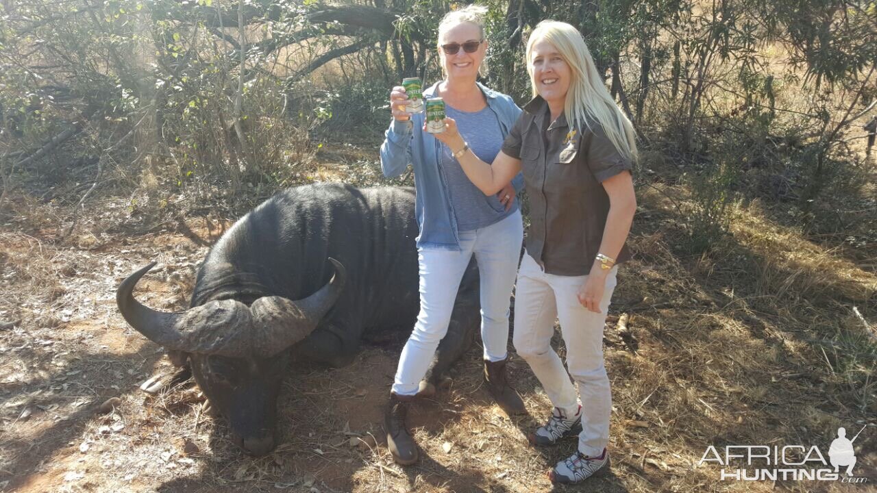 Buffalo Hunting South Africa