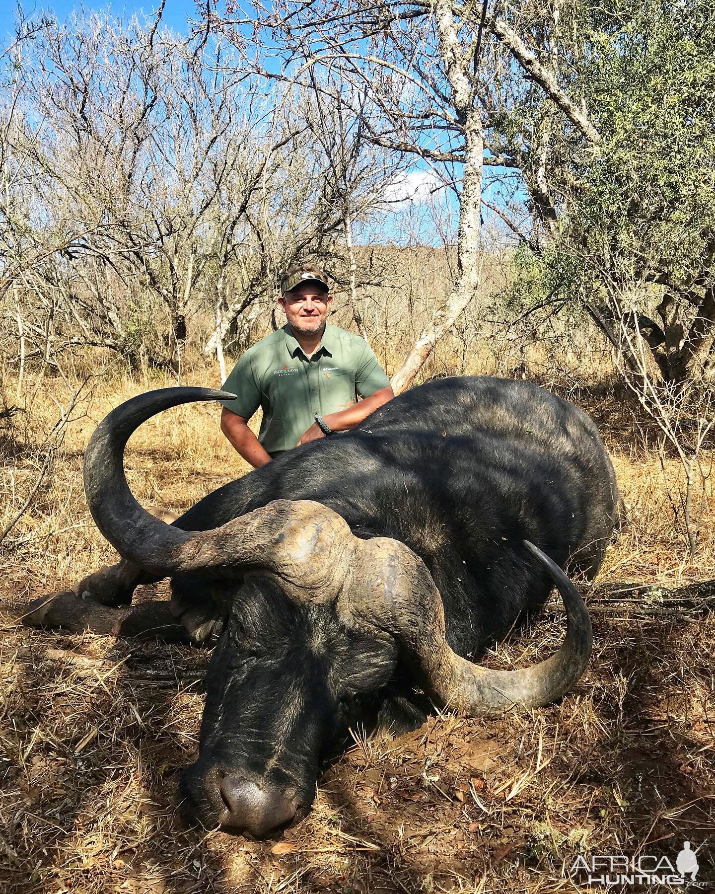 Buffalo Hunting South Africa