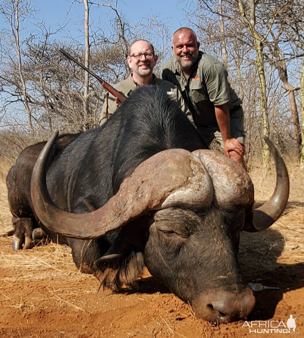 Buffalo Hunting South Africa