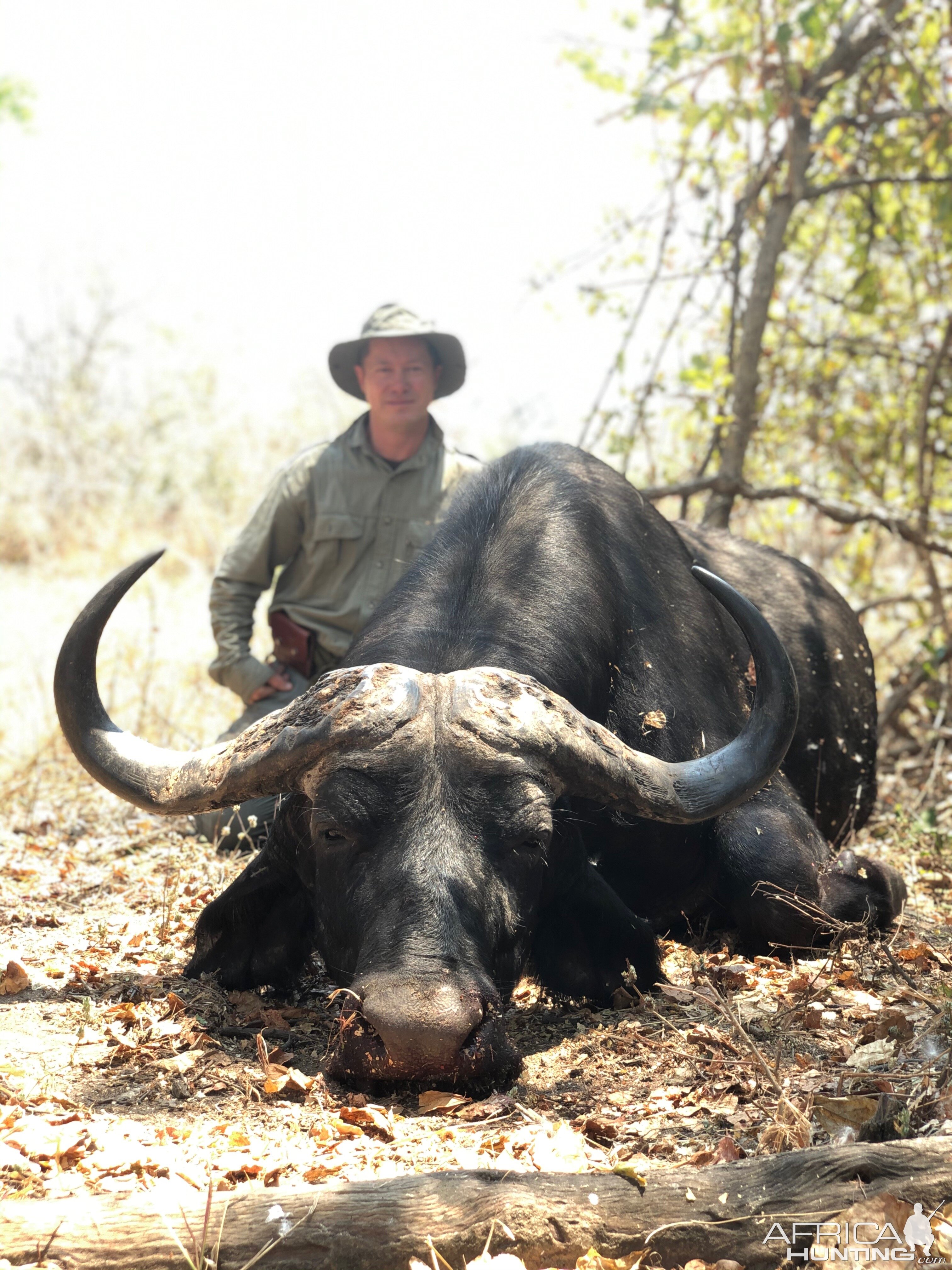 Buffalo hunting Tanzania