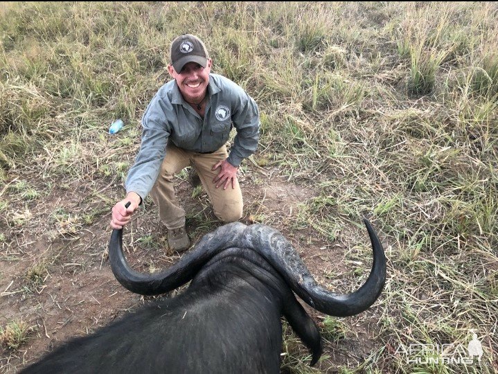 Buffalo Hunting Tanzania