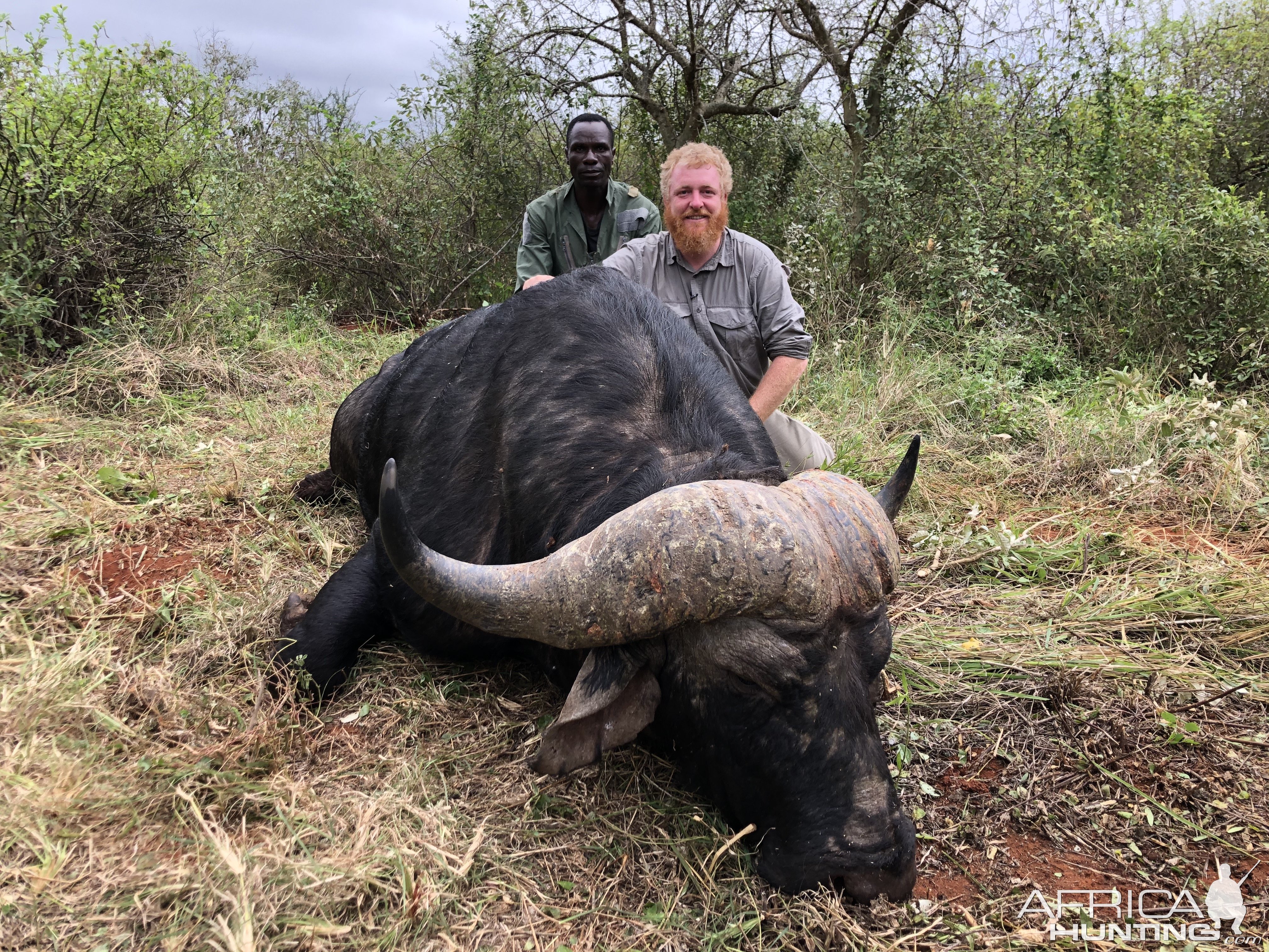 Buffalo Hunting Tanzania