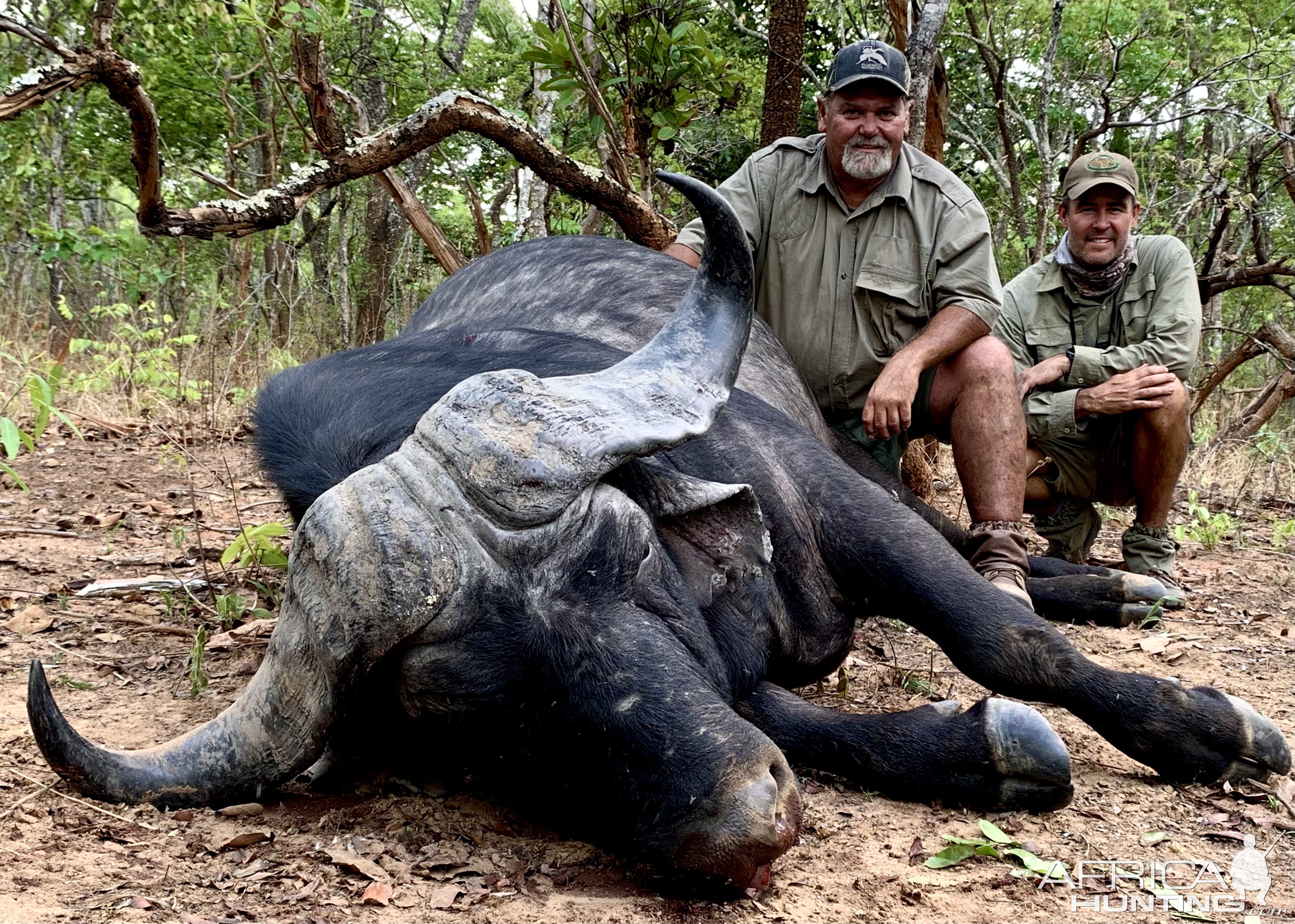 Buffalo Hunting Tanzania