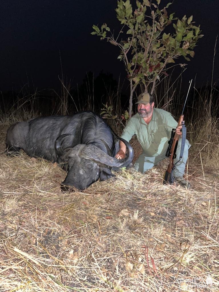 Buffalo Hunting Tanzania