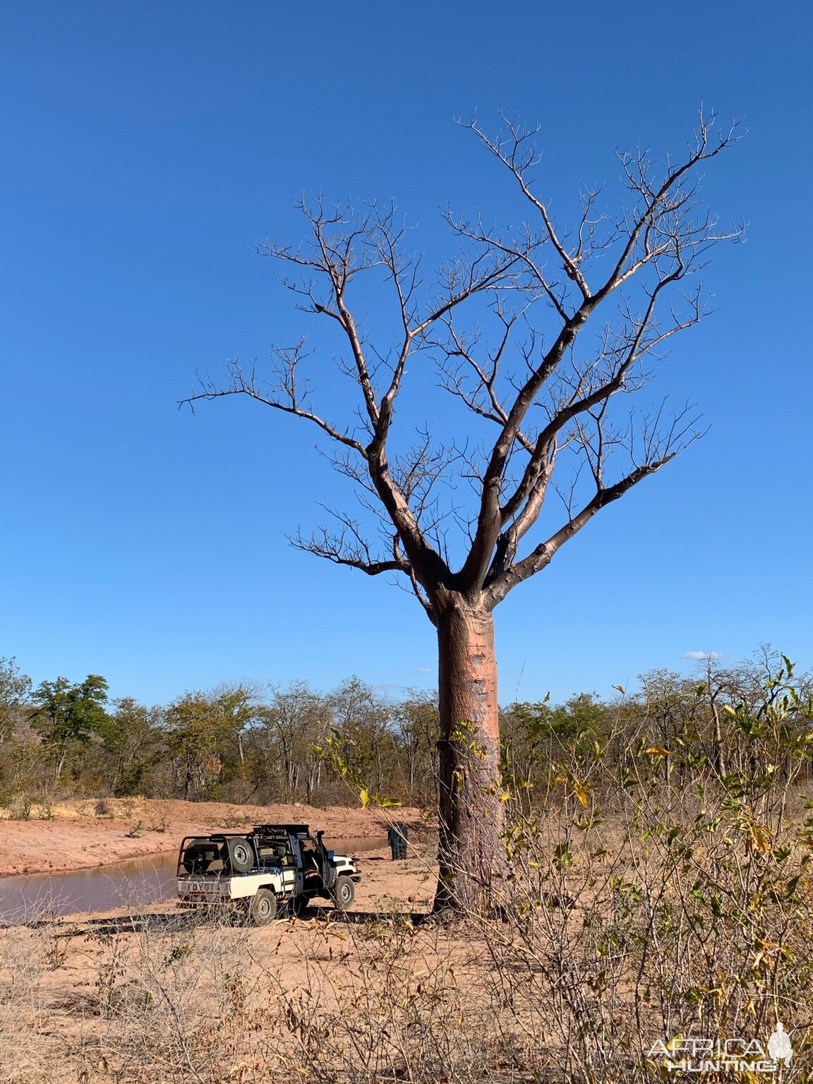 Buffalo Hunting Zambia