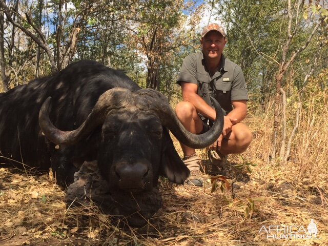 Buffalo Hunting Zimbabawe