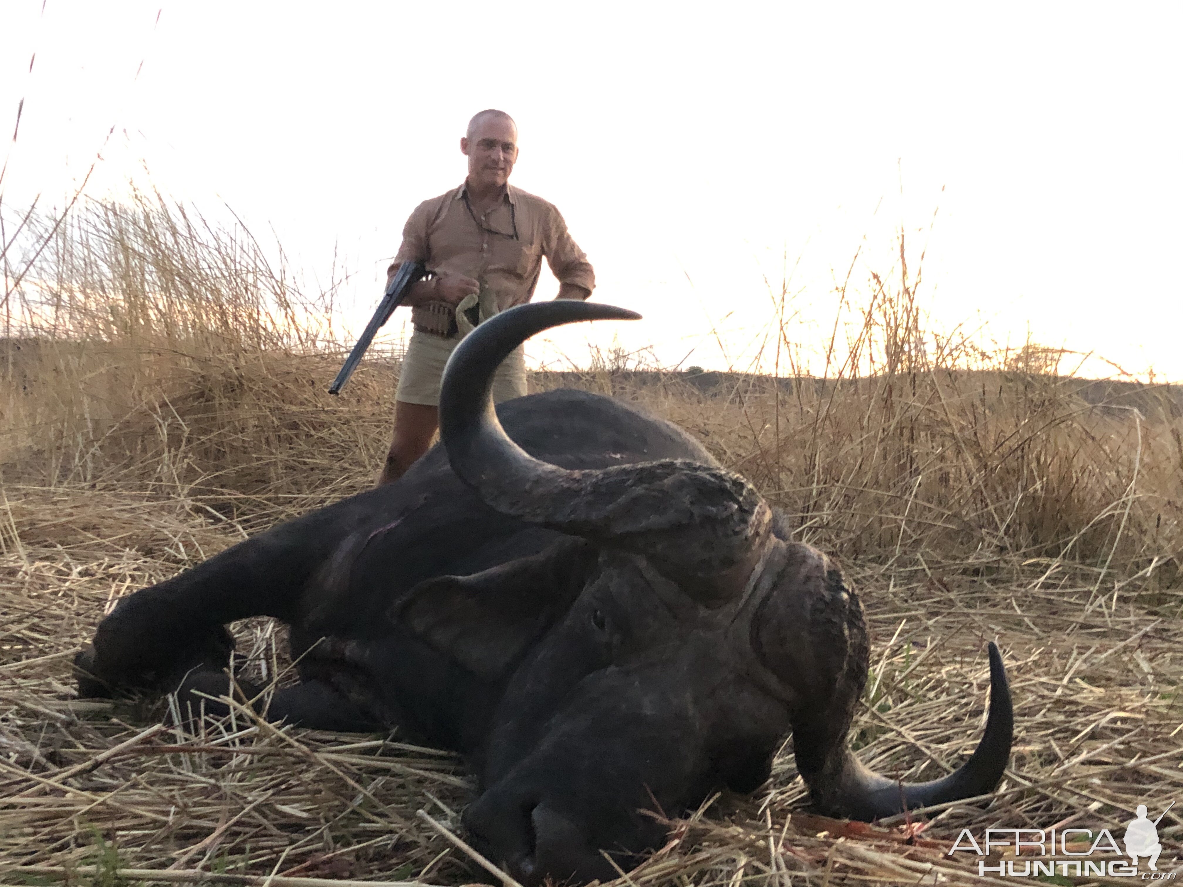 Buffalo Hunting Zimbabwe