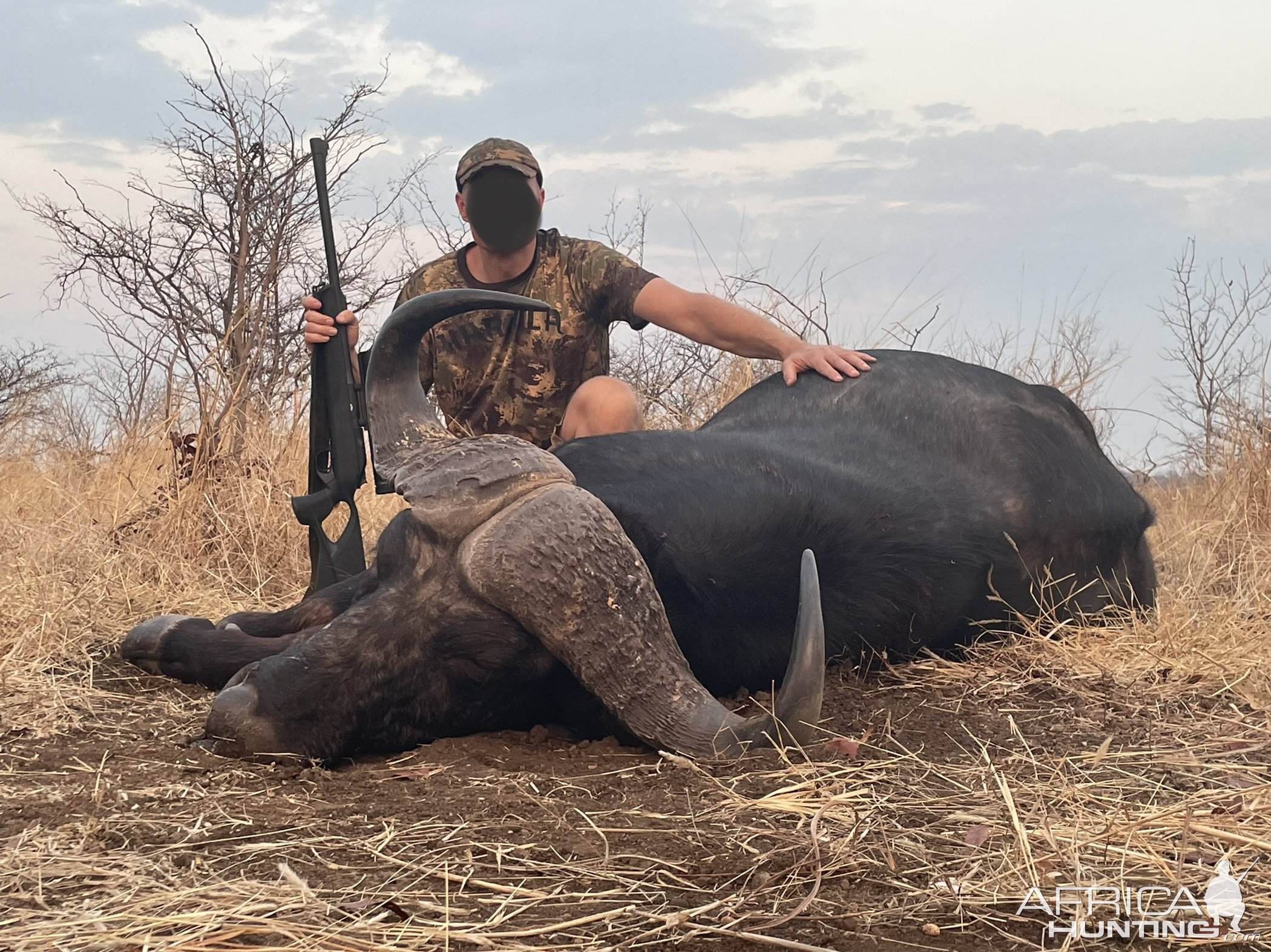 Buffalo Hunting Zimbabwe