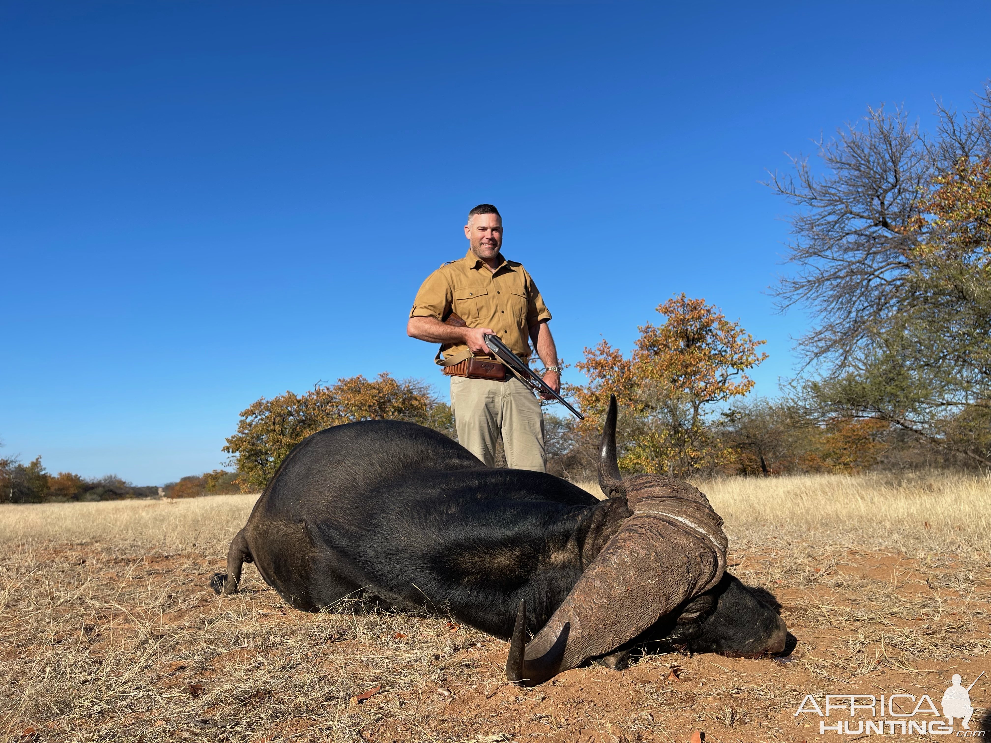 Buffalo Hunting Zimbabwe