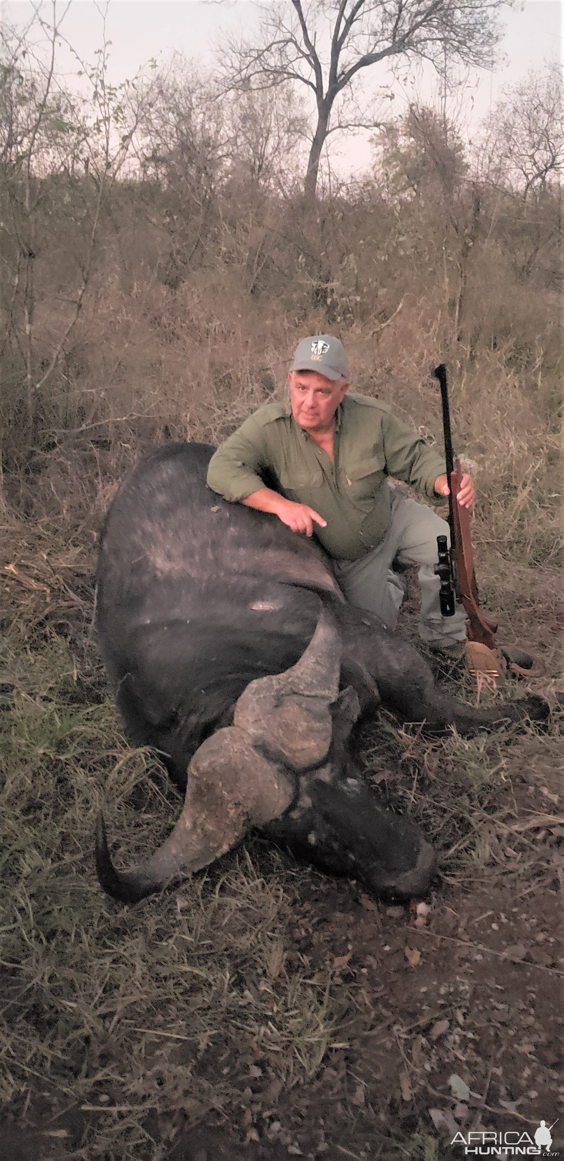 Buffalo Hunting Zimbabwe