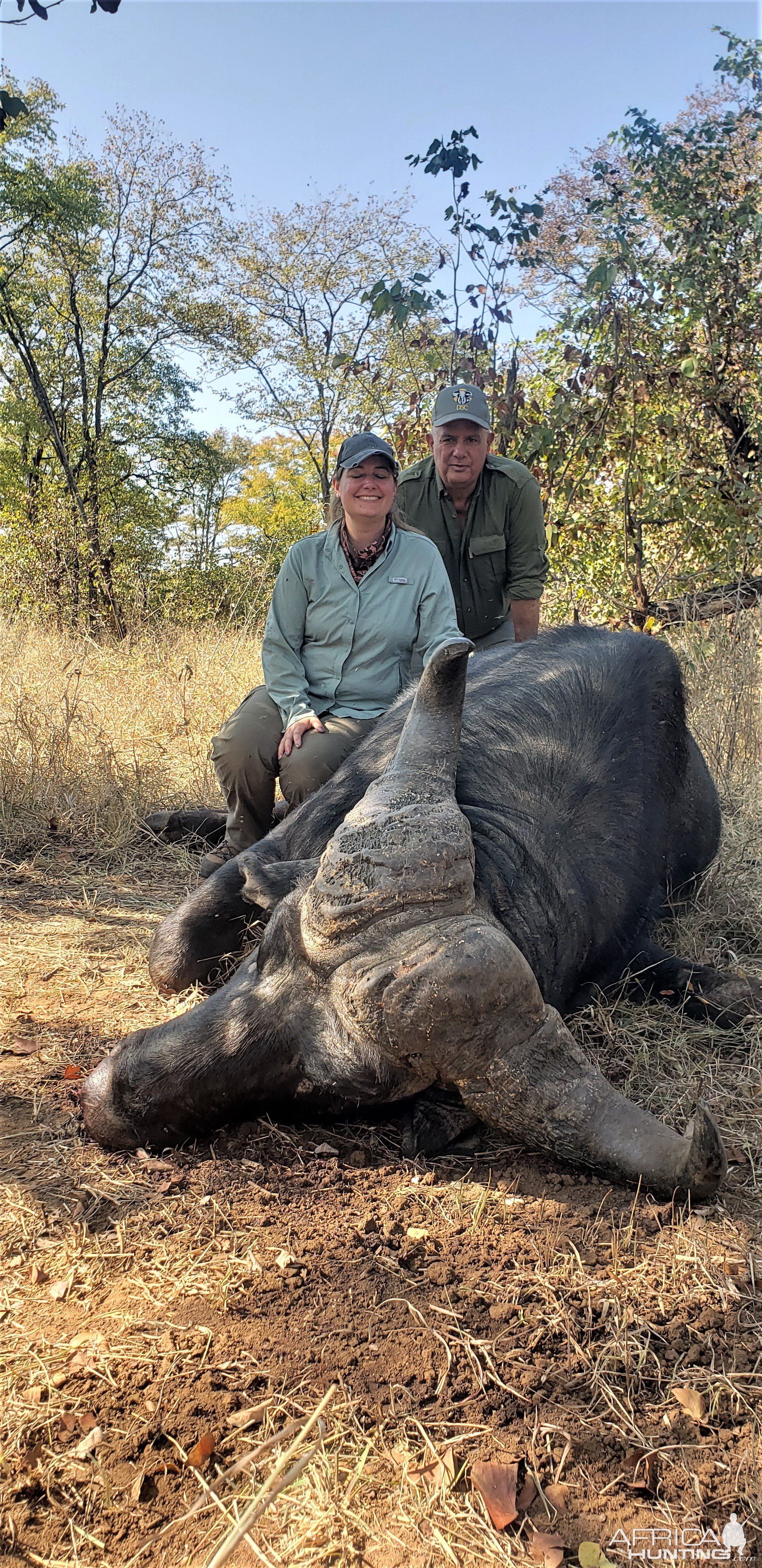 Buffalo Hunting Zimbabwe