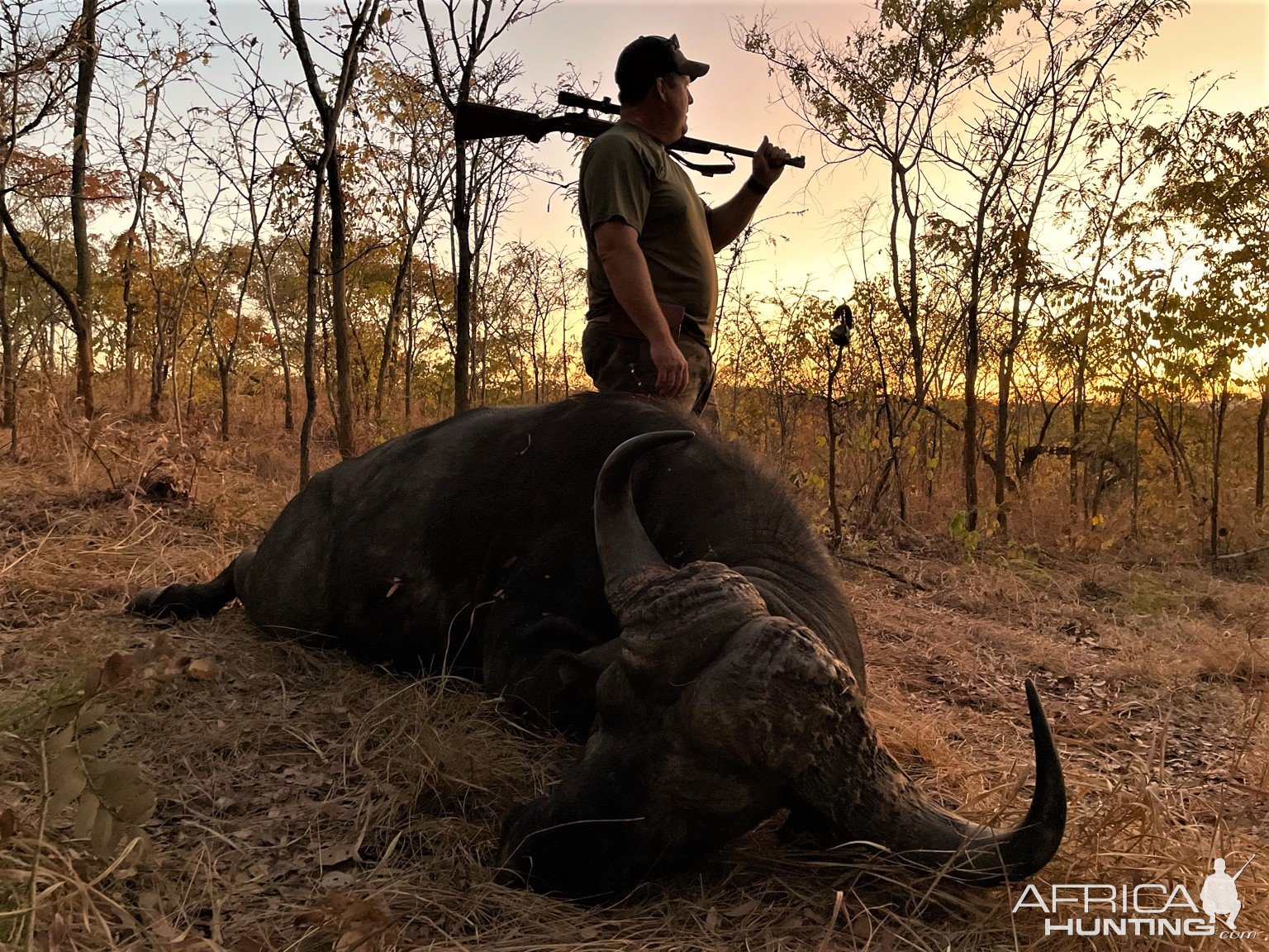 Buffalo Hunting Zimbabwe