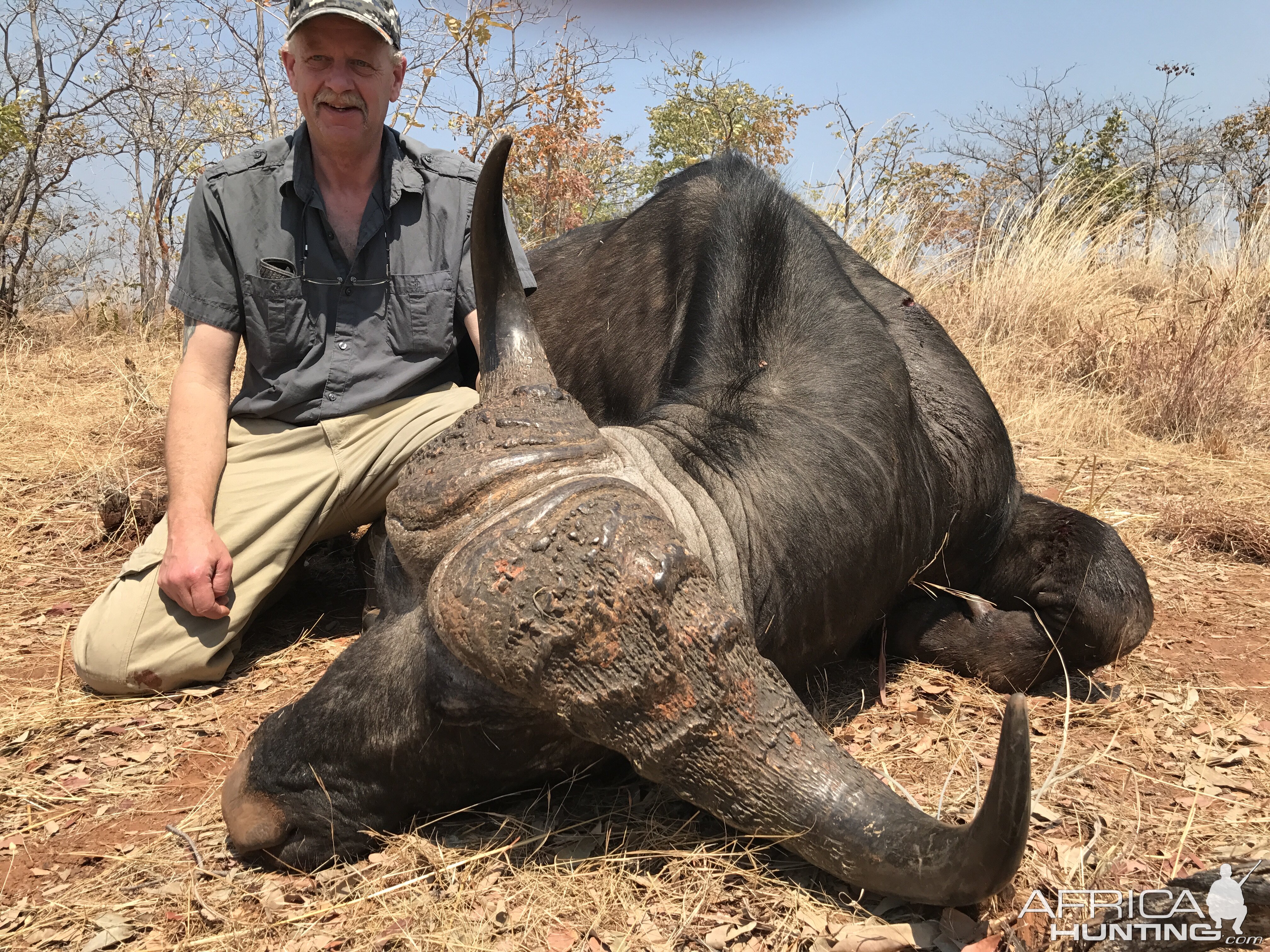 Buffalo Hunting Zimbabwe