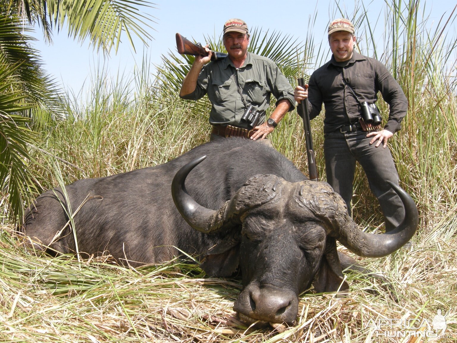 Buffalo Hunting