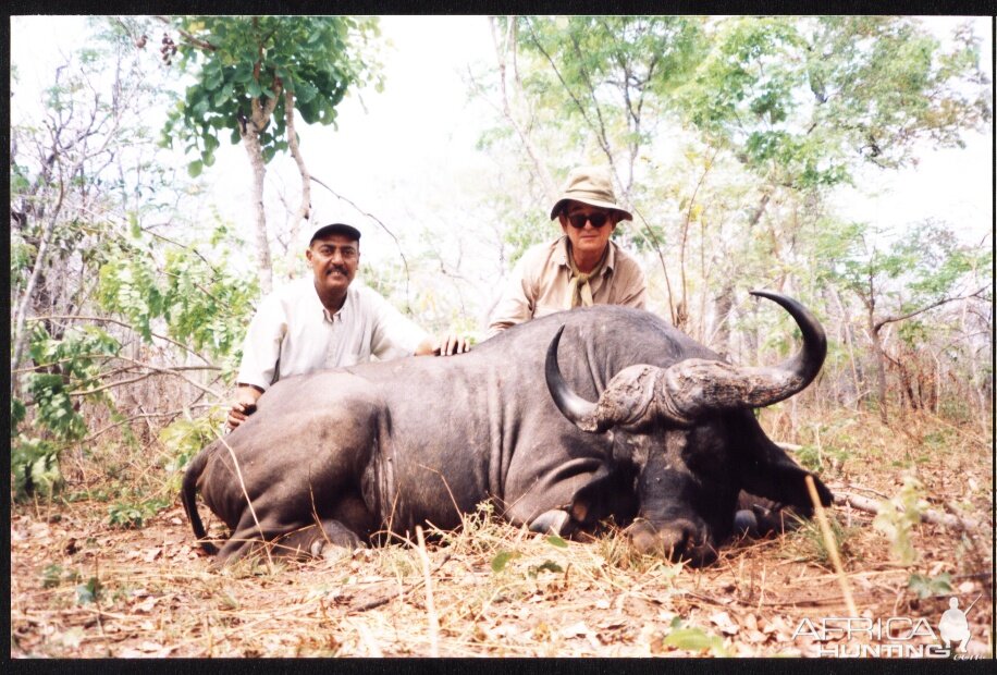 Buffalo Hunting