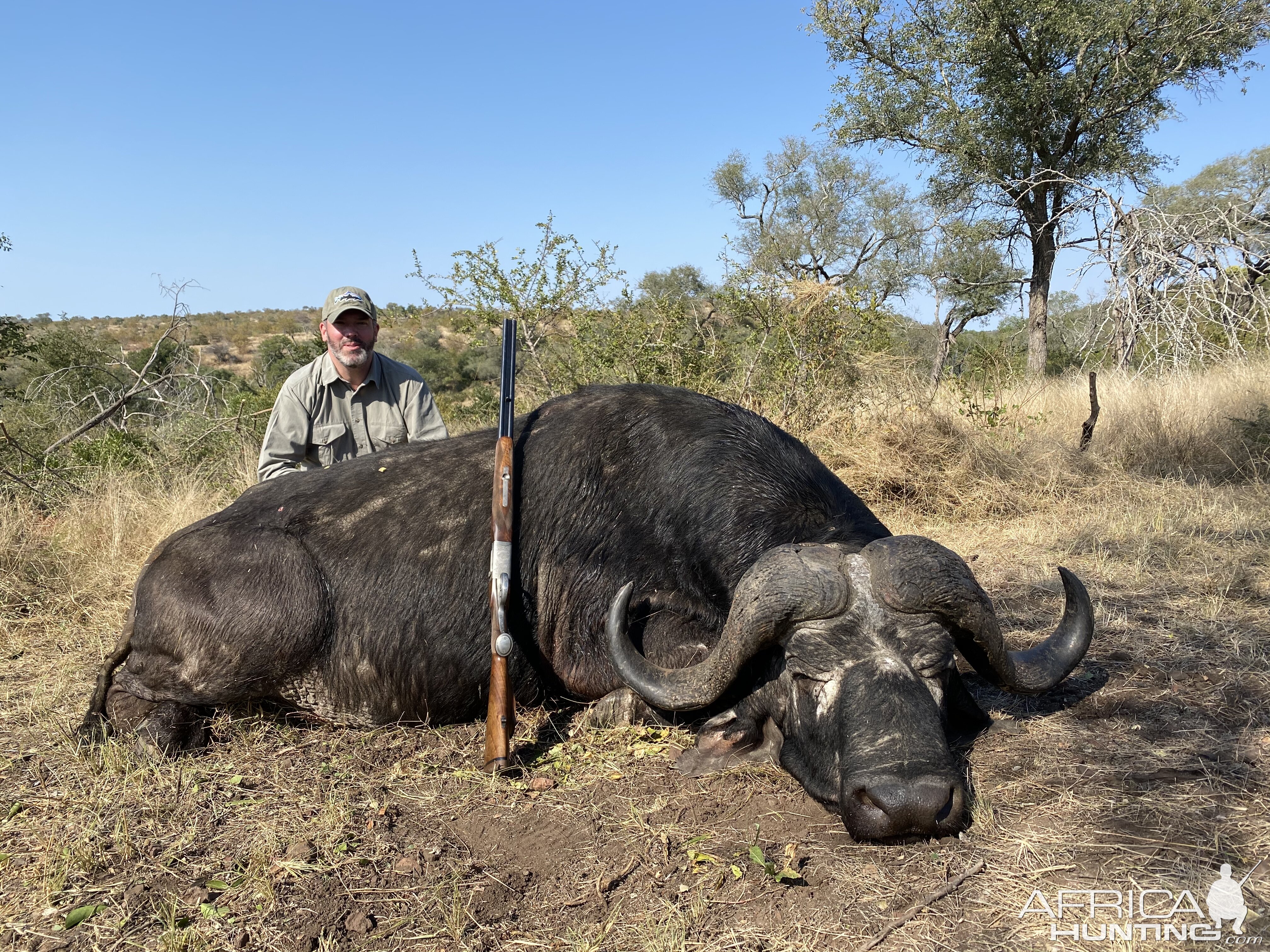 Buffalo Hunting