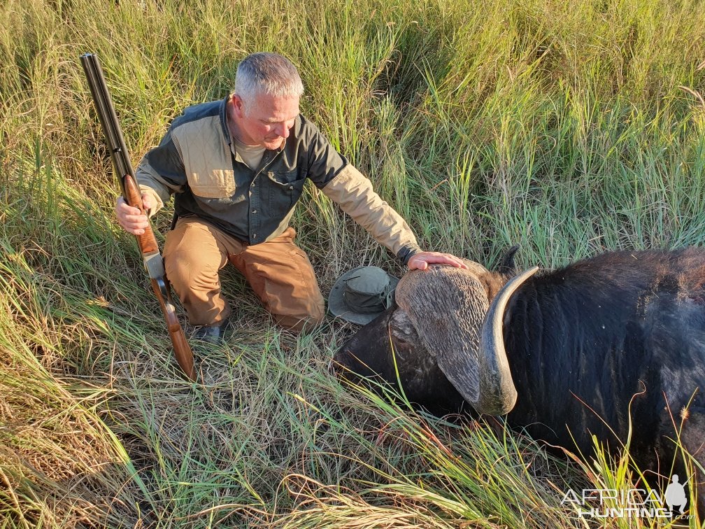 Buffalo Hunting