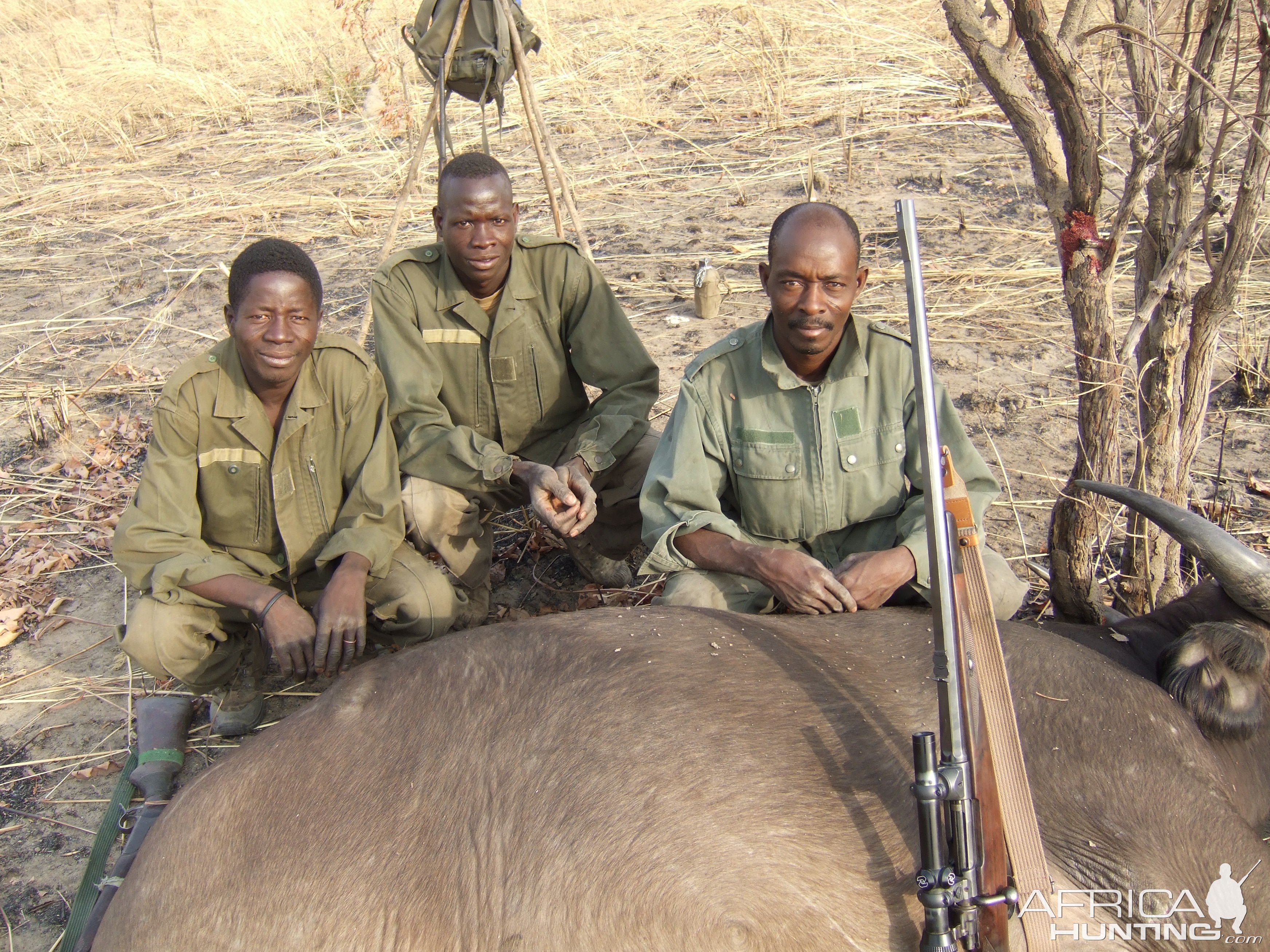 Buffalo Hunting