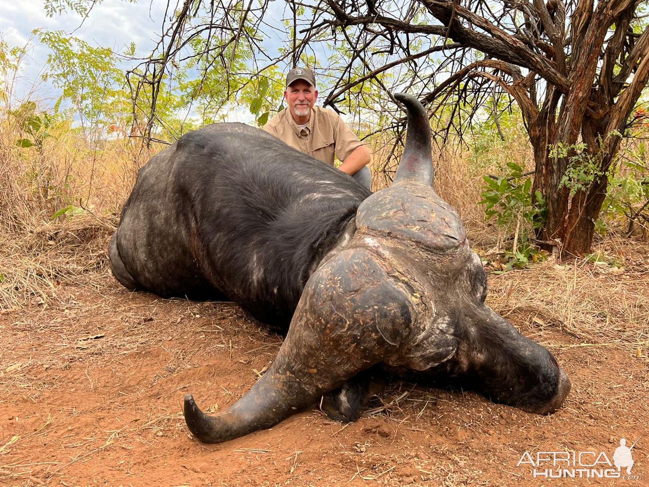 Buffalo Hunting