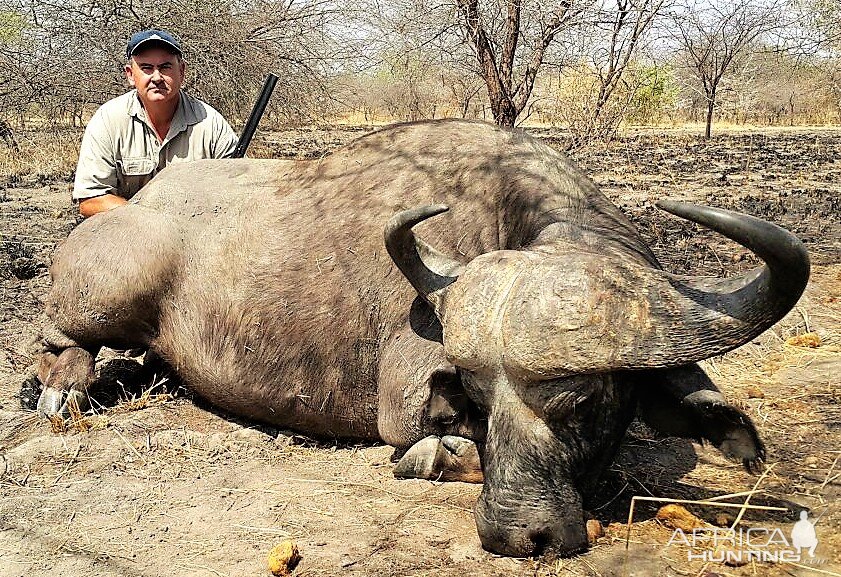 Buffalo Hunting