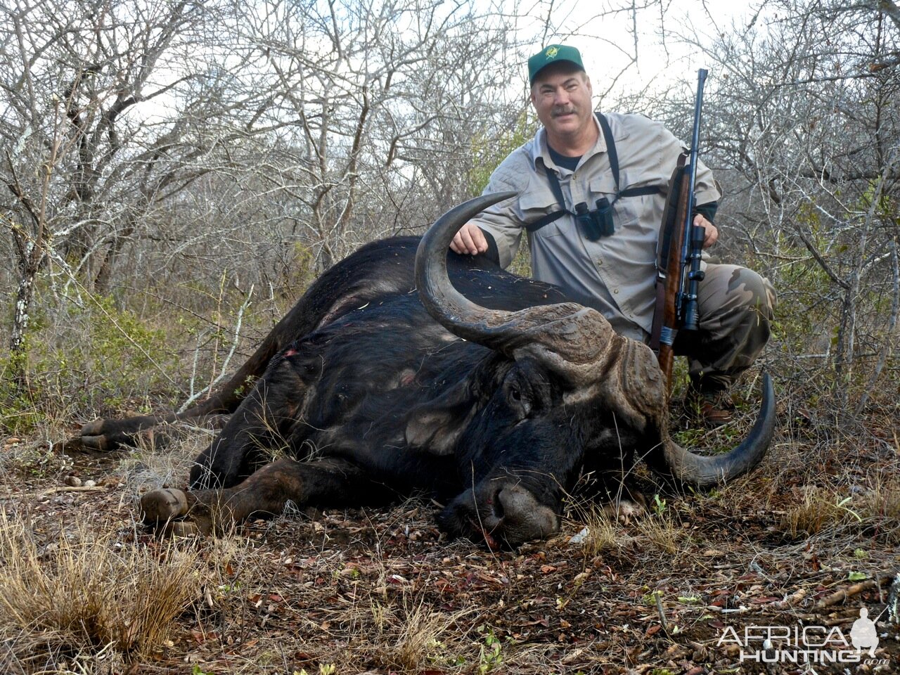 Buffalo Hunting