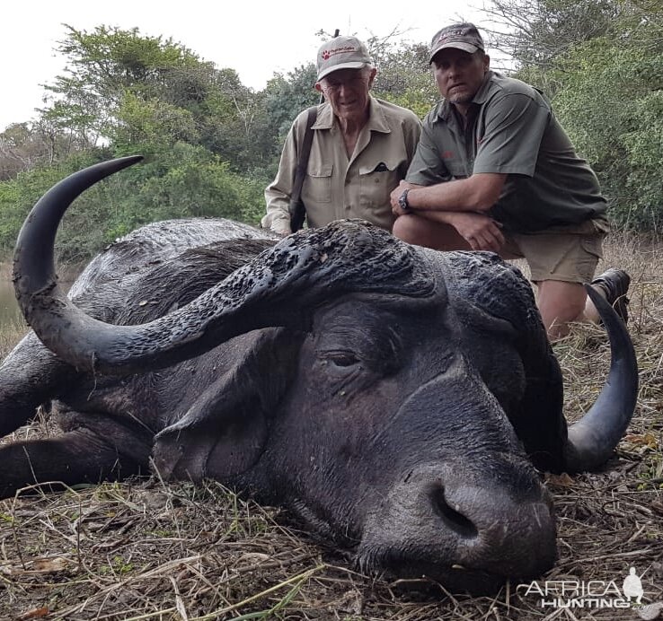 Buffalo Hunting