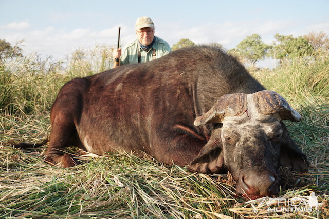 Buffalo Hunting