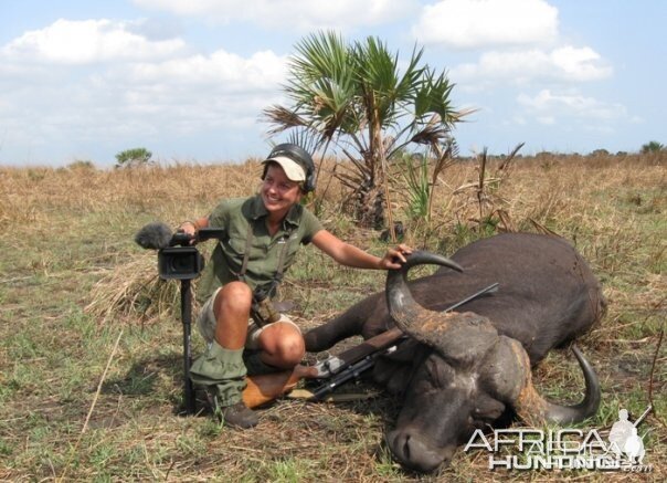 Buffalo in Mozambique