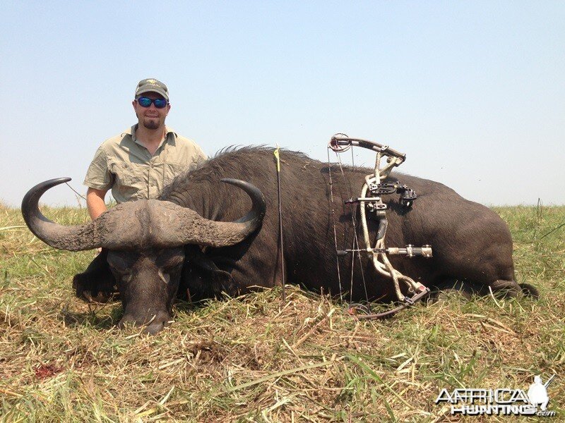 Buffalo Mozambique