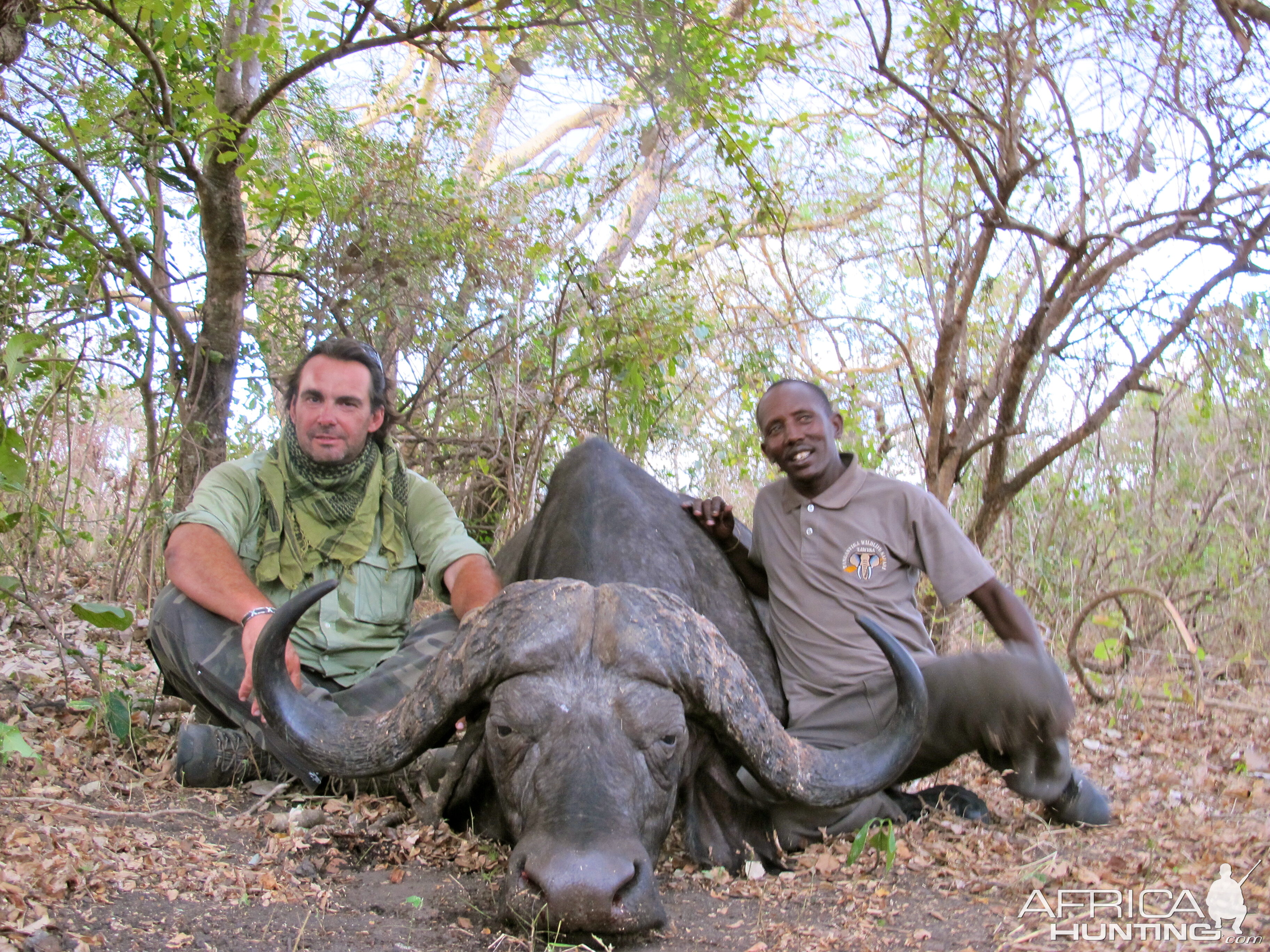 Buffalo Selous Game Reserve